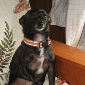 Meet your Posher, Ann